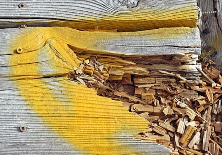 Best Log Home Wood Rot Repair Experts in Jasper GA